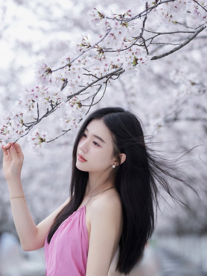 肖申克的救赎 封面